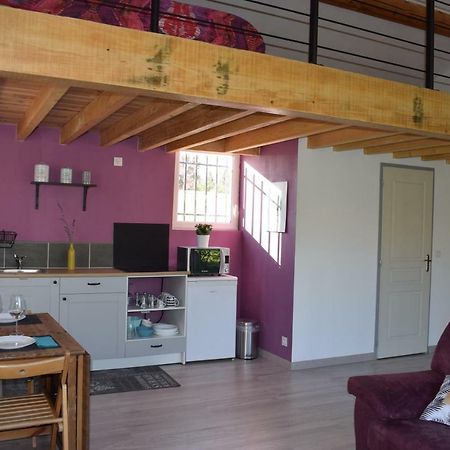 Apartament Loft Le Mistral Avec Spa Exterieur En Saison Maillane Zewnętrze zdjęcie